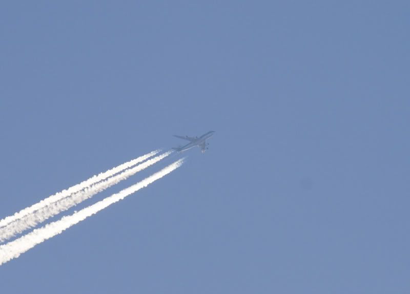 http://i104.photobucket.com/albums/m183/aliencats/Glasgow/241106/overflight/klm744.jpg