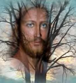 AbreathawayJesusFaceinTREE.jpg