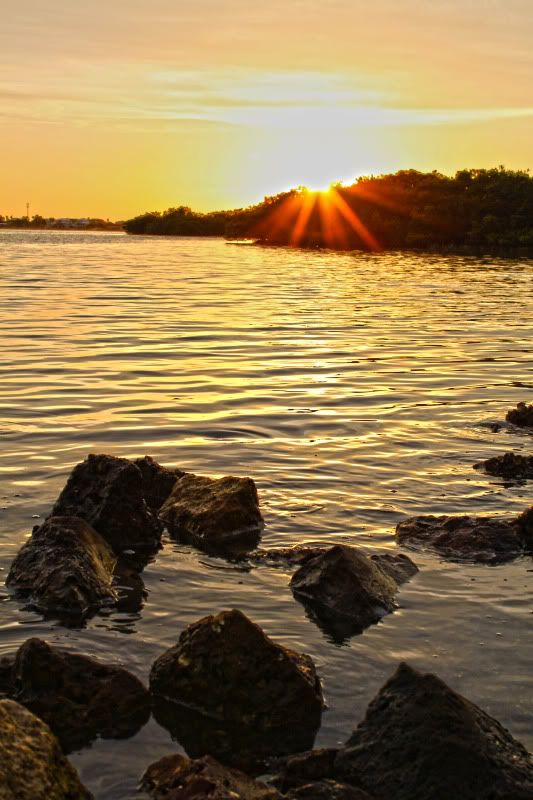 IMAGE: http://i104.photobucket.com/albums/m184/crazy_cka/Photography/IMG_4160hdr.jpg