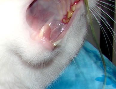 DSC03412.jpg