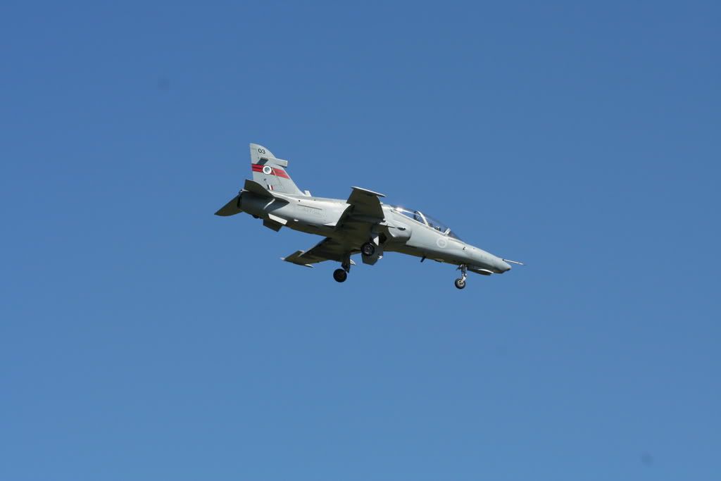 IMG_0962.jpg