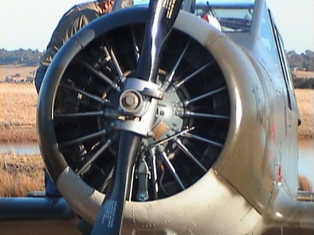 Pics506.jpg