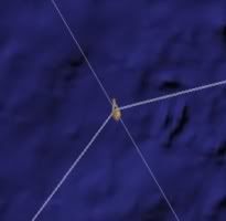 Waypoint Waypoint