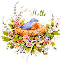 HelloBirdonnest.gif image by doddee2006