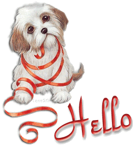 HelloDogFlash.gif image by doddee2006