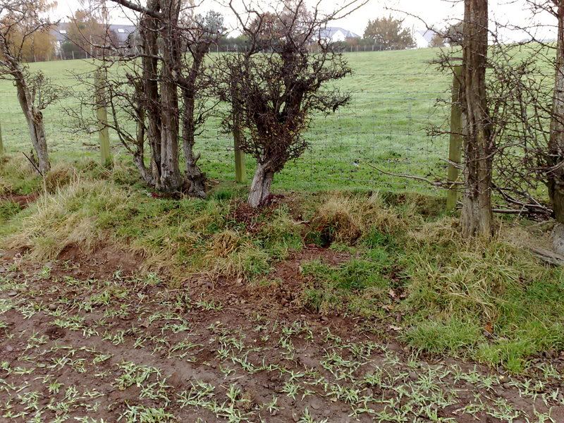 04112007027.jpg