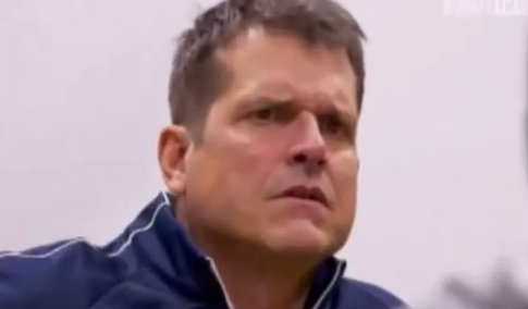Image result for jim harbaugh stare