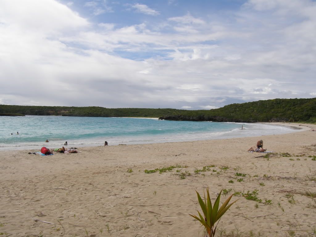 http://i104.photobucket.com/albums/m192/thesxekid/Vieques/P1170031.jpg