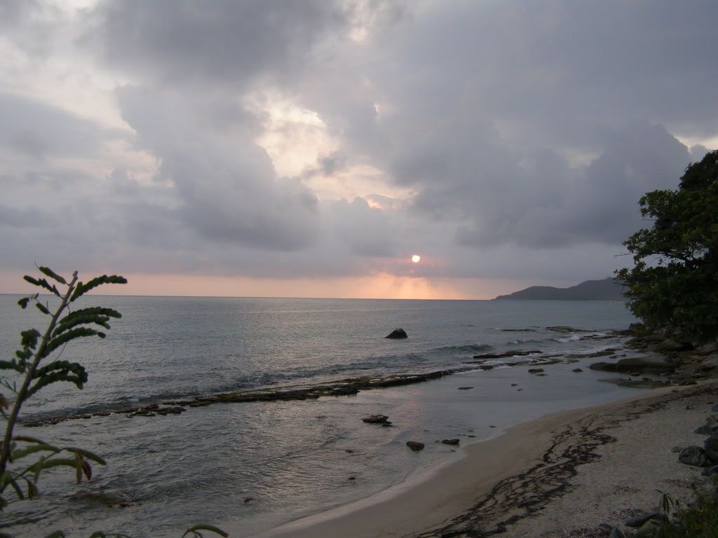 http://i104.photobucket.com/albums/m192/thesxekid/Vieques/P1220169.jpg