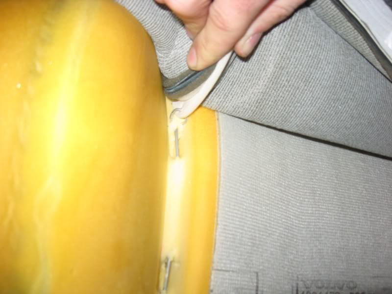 Posted Image