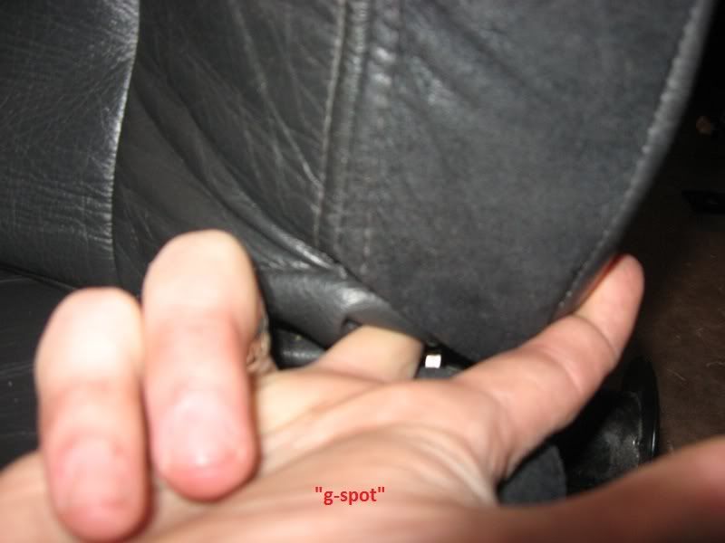 Posted Image