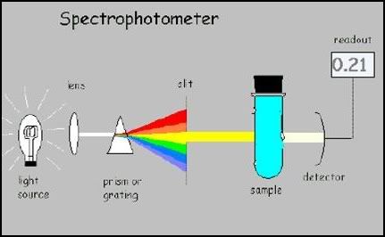 chem 17 expt 5 spectrophotometry View lab report - chem 17 spectrophotometric determination of the equilibrium constant of a reaction (expt 5) from department 201504555 at. chem 17 expt 5 spectrophotometry View lab report - chem 17 spectrophotometric determination of the equilibrium constant of a reaction (expt 5) from department 201504555 at.