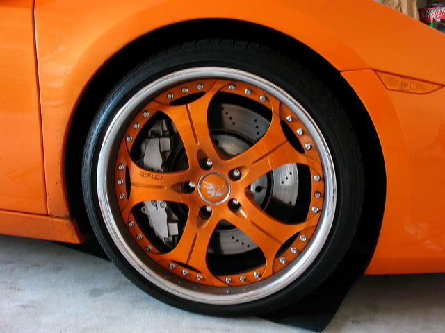 002galardo01.jpg