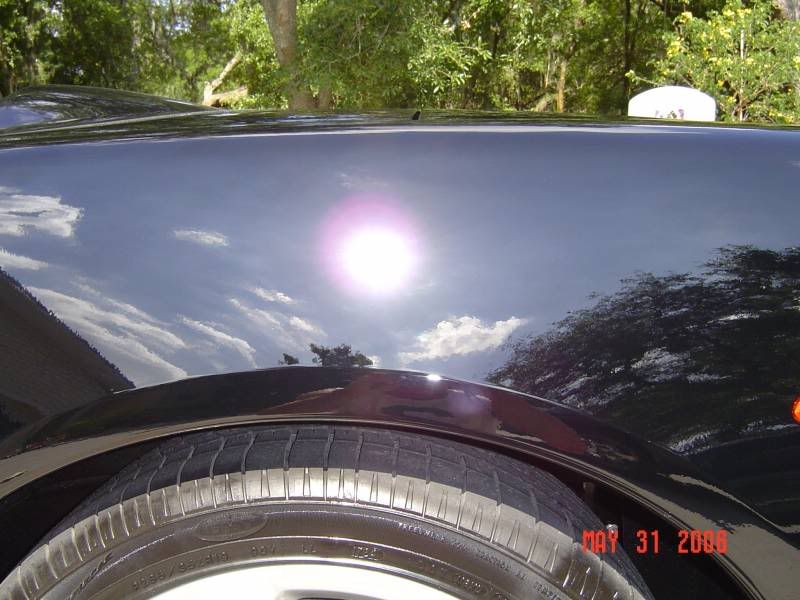 6854DSC00638.jpg