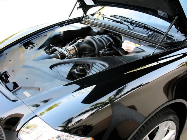 anthonysmaserati025.jpg