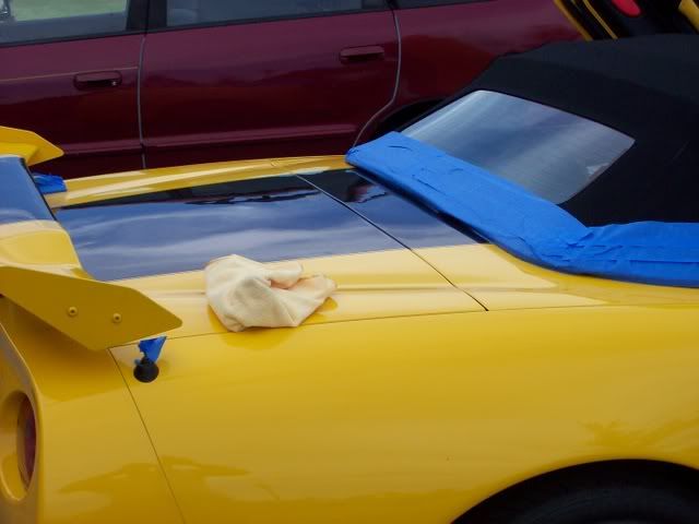 100_04981.jpg
