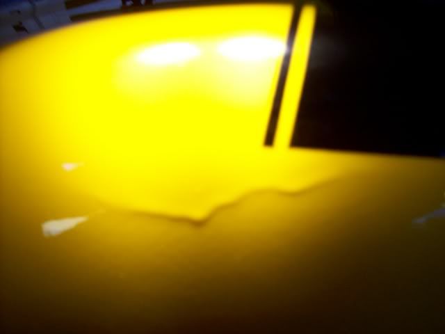 100_05501.jpg