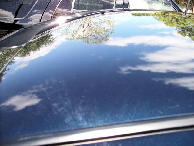 marrissainfiniti004.jpg