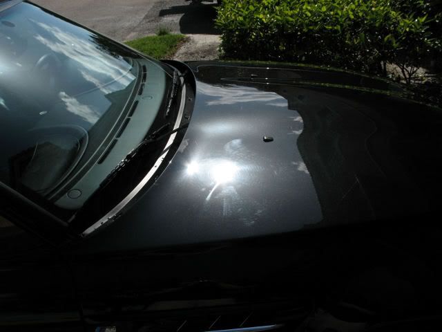 bmwm008.jpg