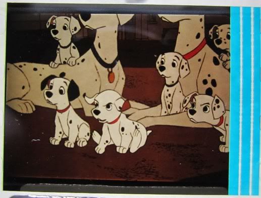 DalmatiansPoDMRollyBarking.jpg