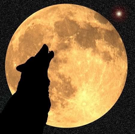 Wolf Howling at Moon Silouette