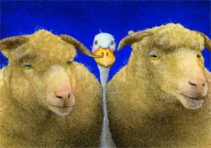 Between the Sheeps Will bullas