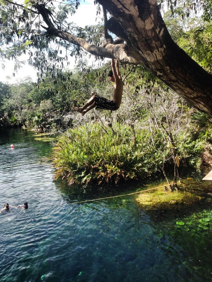 Cenote Jardín del Edén . Excursiónes en Riviera Maya - Foro Riviera Maya y Caribe Mexicano