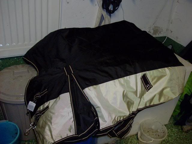 HPIM0063.jpg