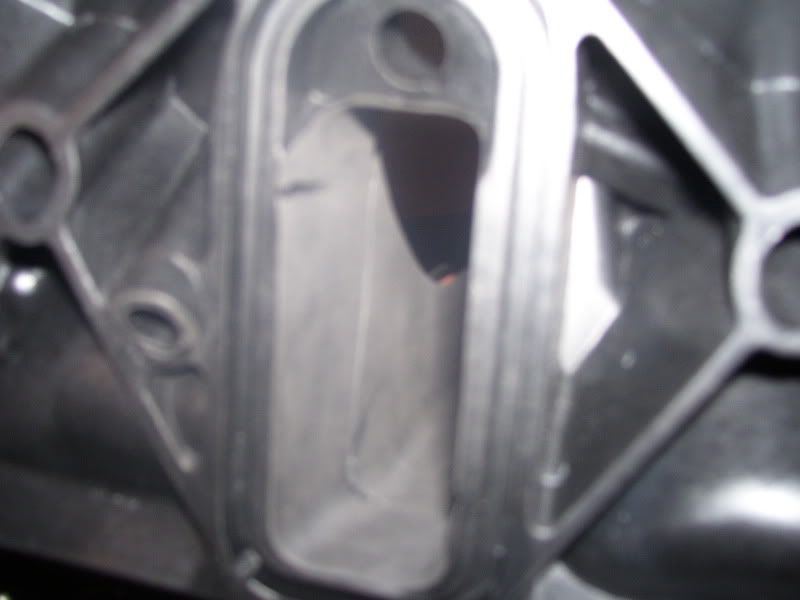 100_1497.jpg