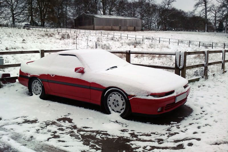 snow2.jpg