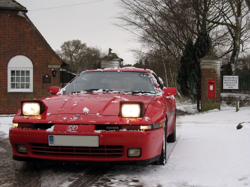 snow4.jpg