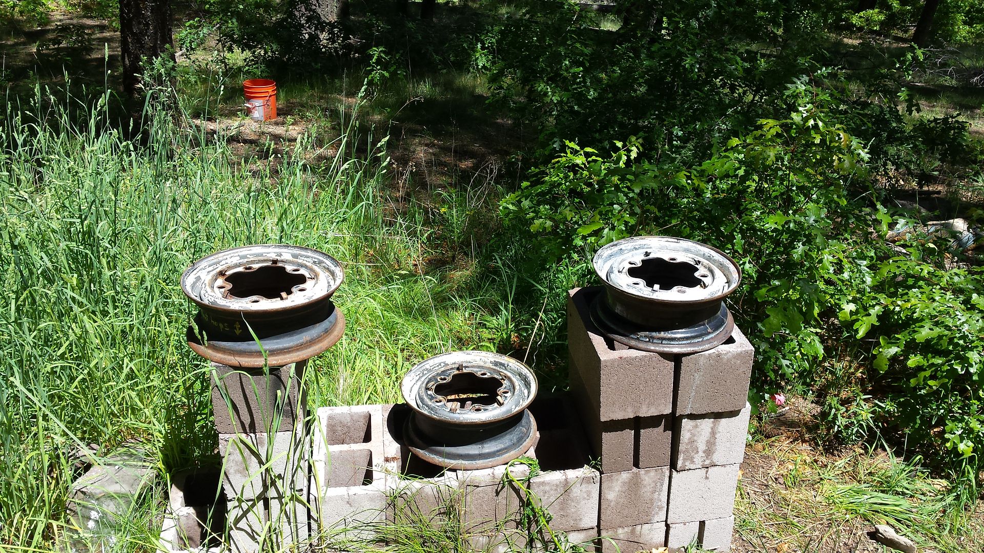 Image may have been reduced in size. Click image to view fullscreen.