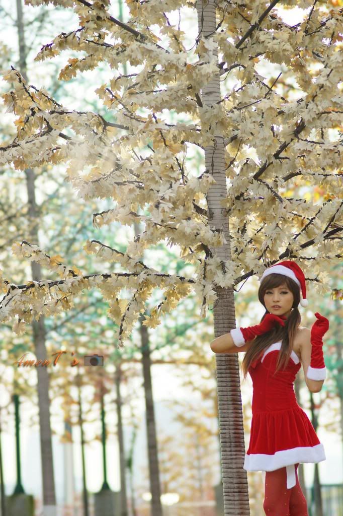  photo 2012-12-22_00013_zps0e60d87a.jpg