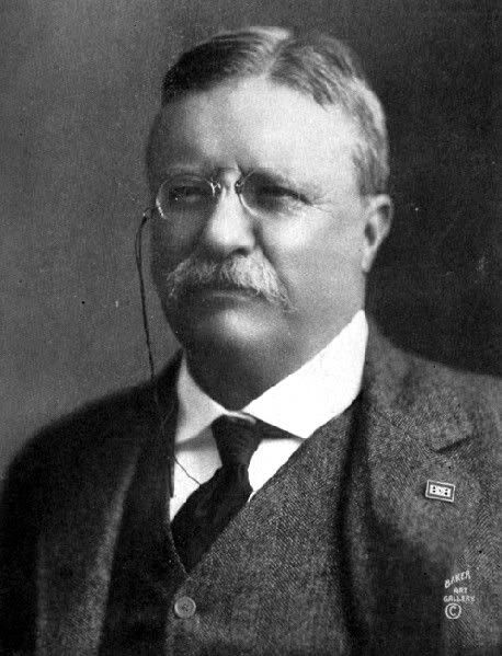 President Theodore Roosevelt