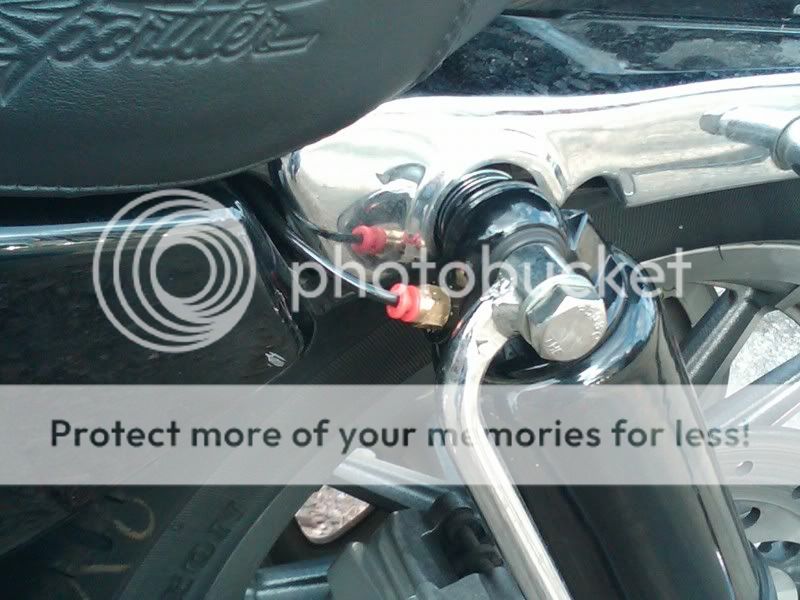 road king lowering shocks