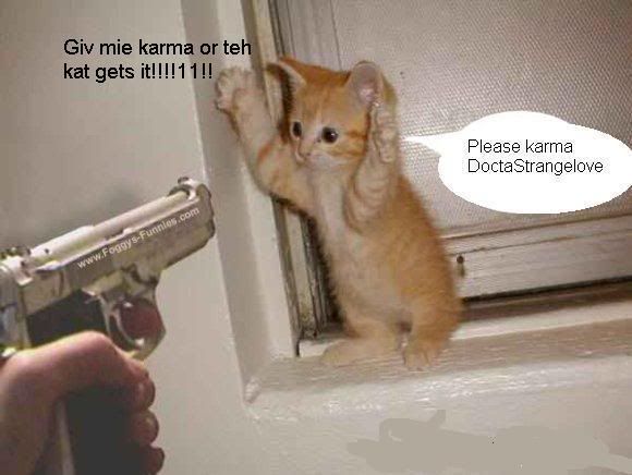 https://i104.photobucket.com/albums/m182/DoctaStrangelove/thecatgetsit.jpg?t=1170810932