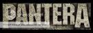The Official Pantera Guild!! banner