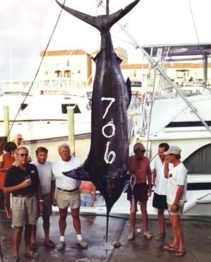 http://i104.photobucket.com/albums/m192/katja_bucket/forum/706blueBobByrd.jpg